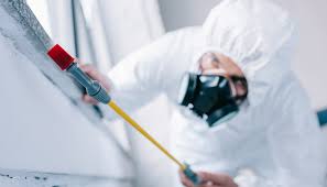 Best Termite Inspection and Treatment  in Pleasantville, NY